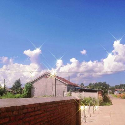 神彩争霸8下载手机版